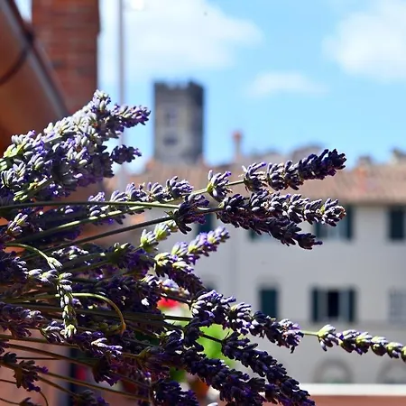L'iris In Terrazza 4* Lucca