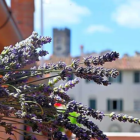 Bed & Breakfast L'iris In Terrazza