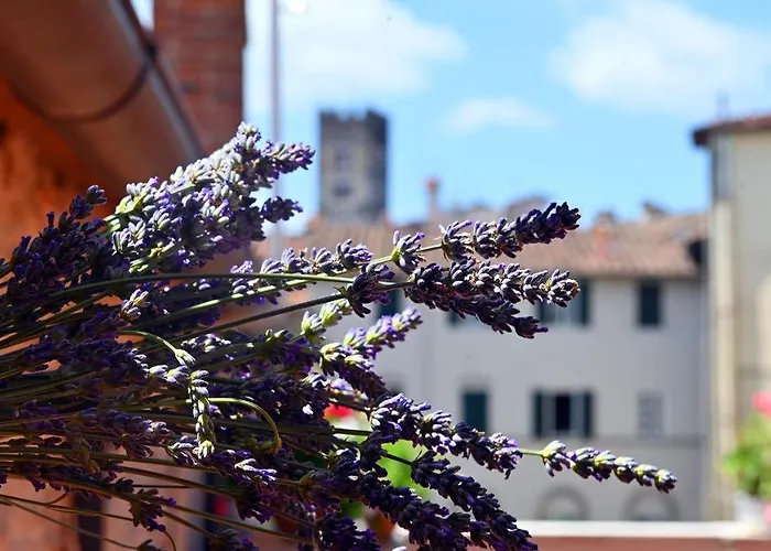 L'iris In Terrazza 4* Lucca
